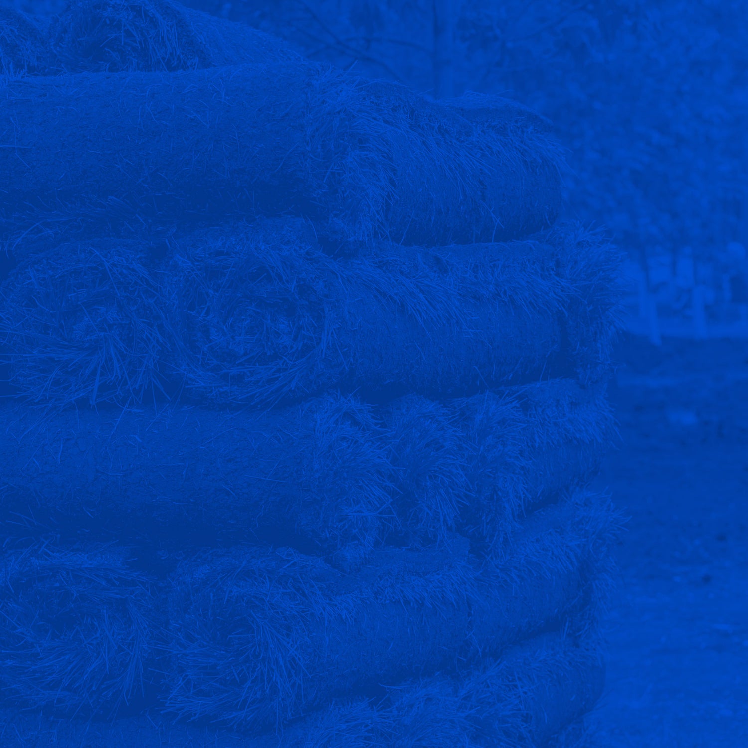collection-banner-image