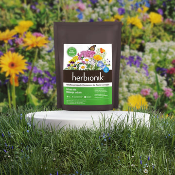 Eco-Rustic Urban 175 g / Flower seed