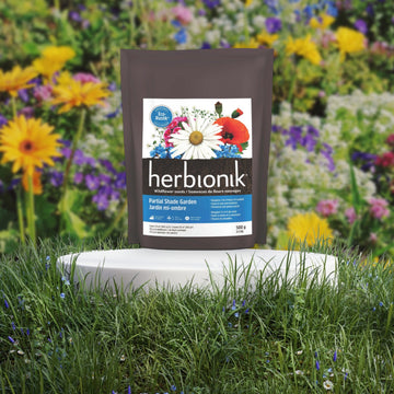 Eco-Rustik Garden Half Shade 175g / flower seed