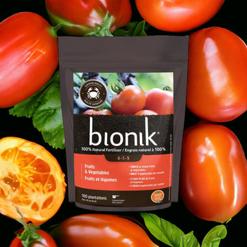 Bionik Fruits & Vegetables 85G / FERTILIZER