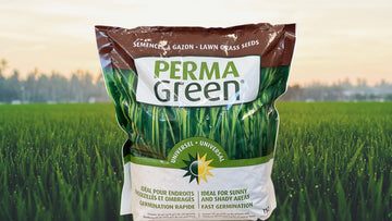 Perma-Green Universel semence