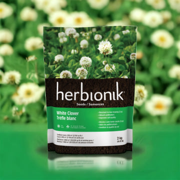 WHITE CLOVER 2KG
