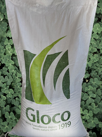 Glo trefle blanc enrob / 10kg