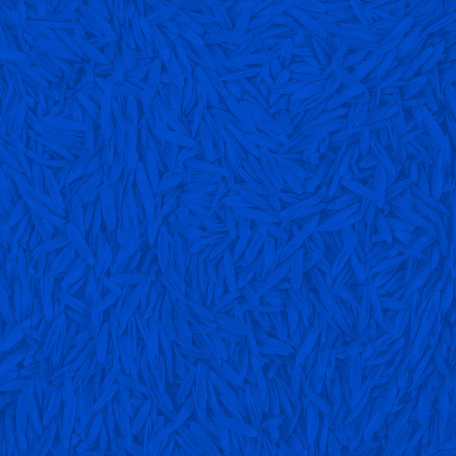 collection-banner-image