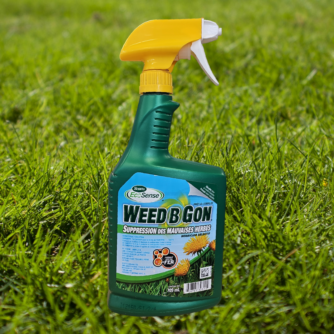 brush b gon herbicide Weed B Gon Herbicide