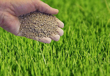 La chaux : Pourquoi avons-nous besoins de cela au Québec & Ontario