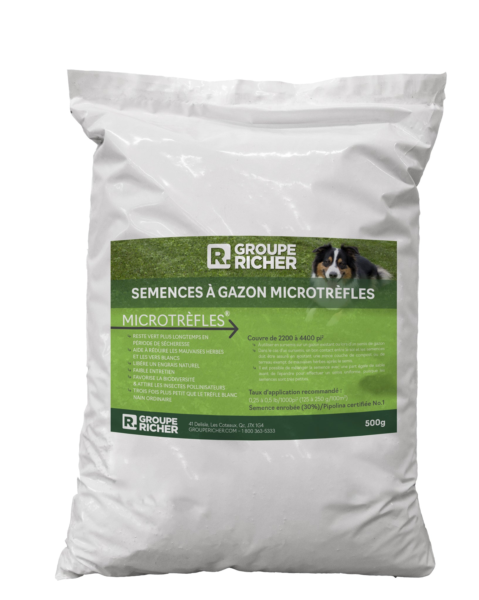 Semence Microtrèfle RICHER
