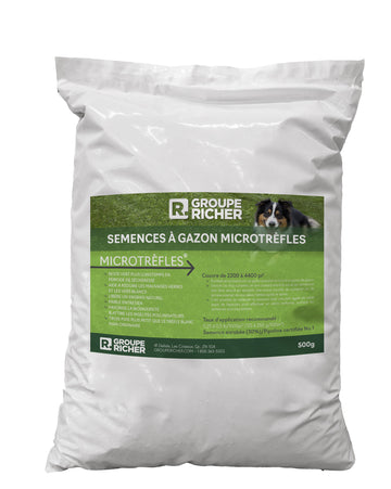 Semence Microtrèfle RICHER